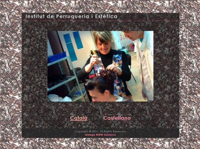 Institut Perruqueria